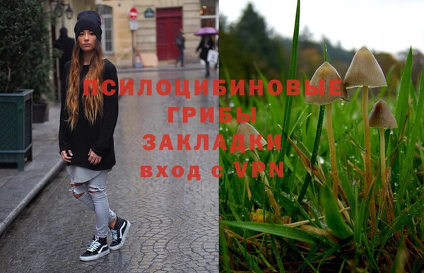 мет Осташков