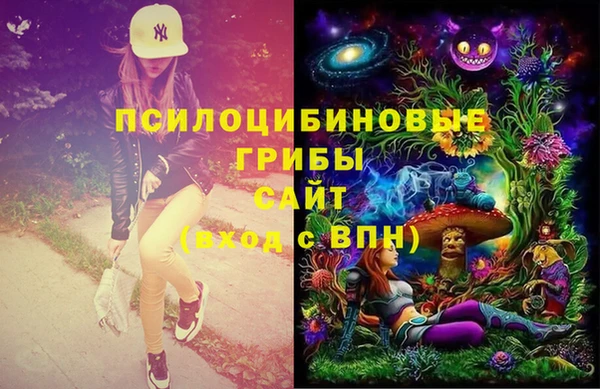 мет Осташков