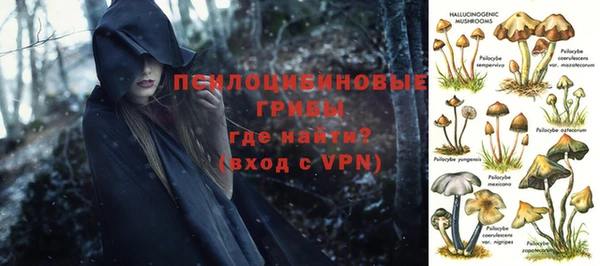 ALPHA-PVP Переславль-Залесский