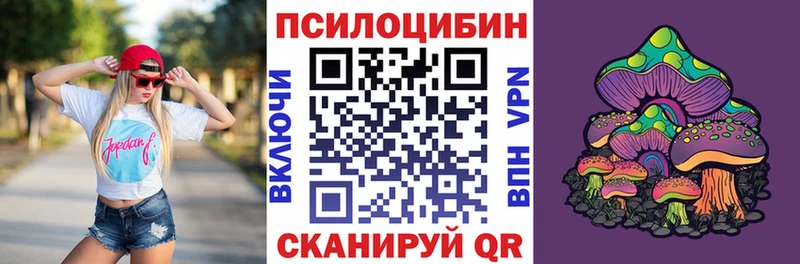 Псилоцибиновые грибы Psilocybine cubensis где продают Саяногорск