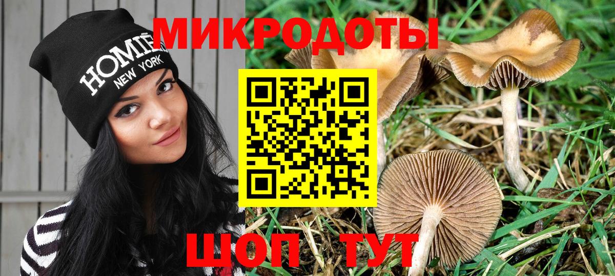 Галлюциногенные грибы мицелий Саяногорск
